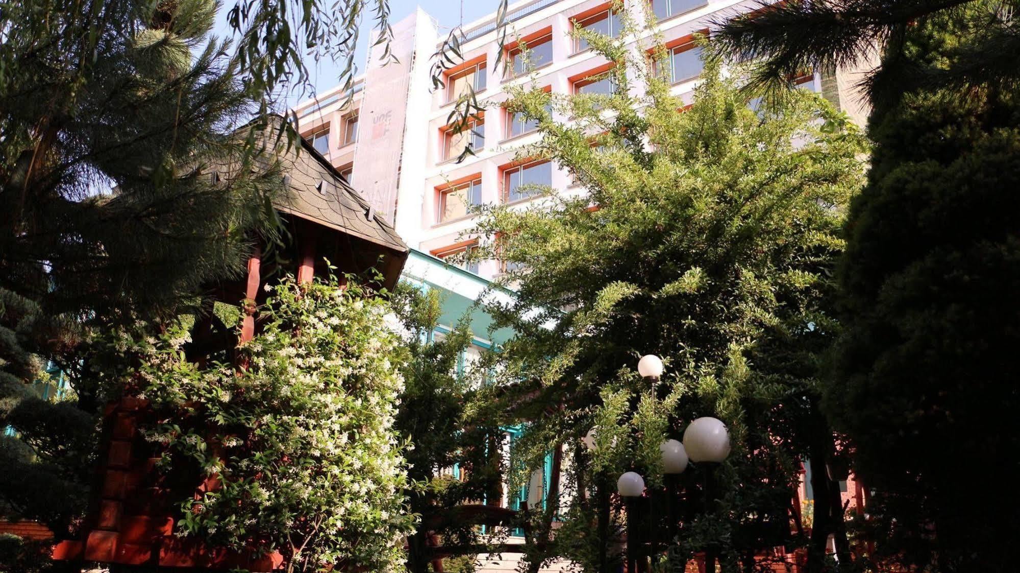 באיה מארה Hotel Carpati מראה חיצוני תמונה